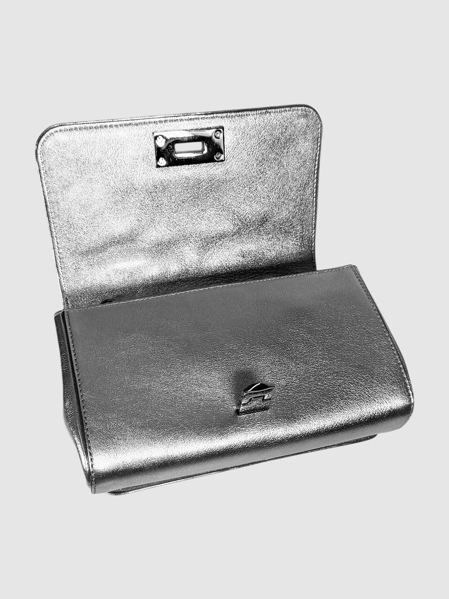 2019 Small Metallic Helia Bag