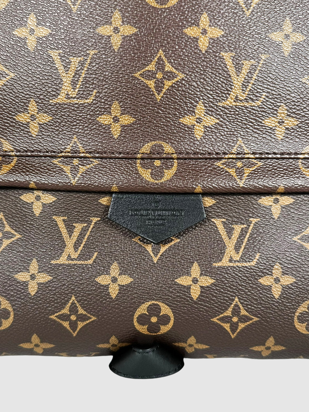 Monogram Palm Springs PM Backpack