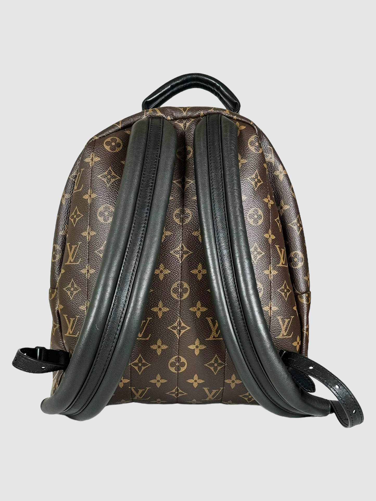 Monogram Palm Springs PM Backpack