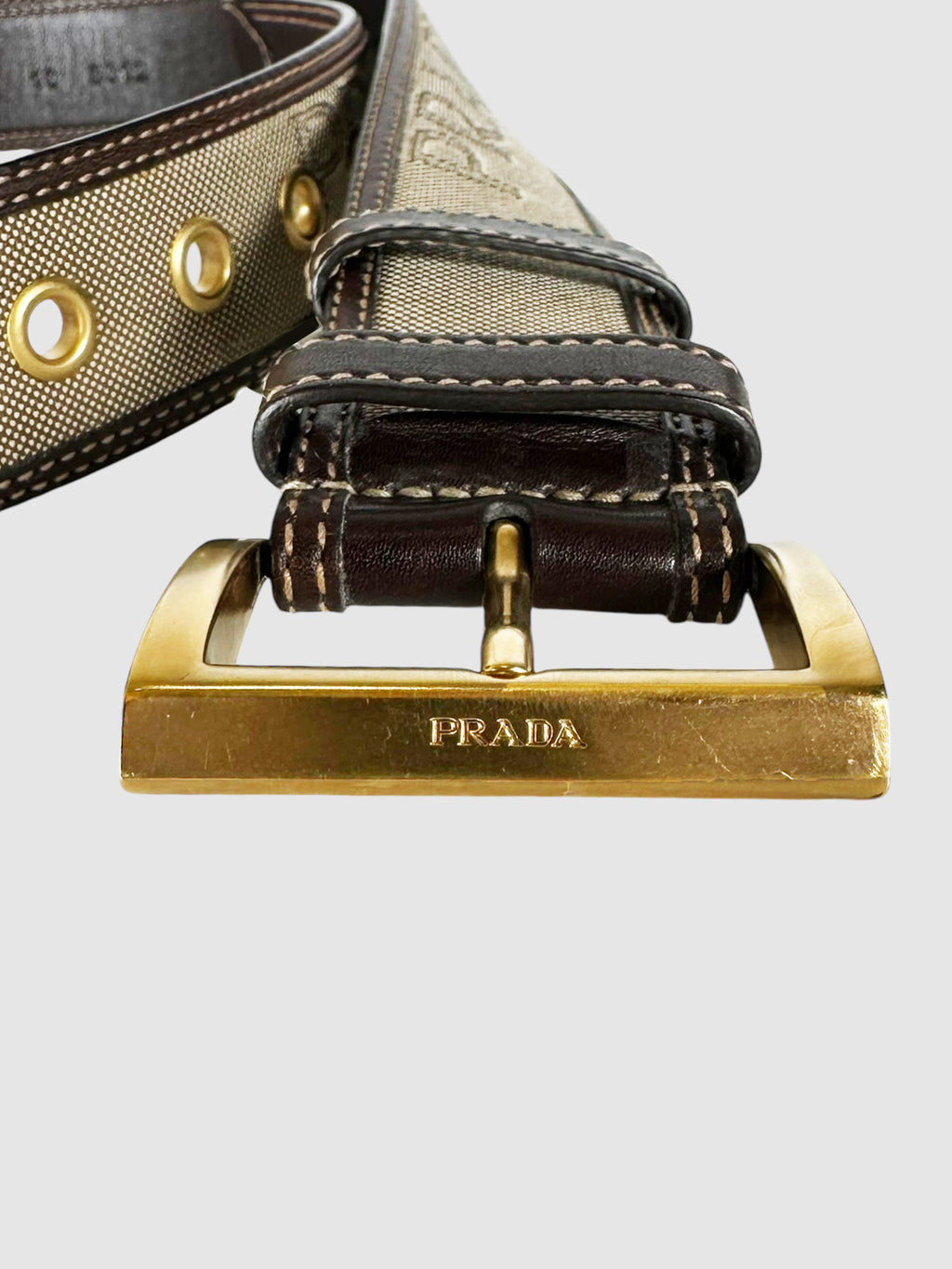 Logo Canvas Leather Trim Belt