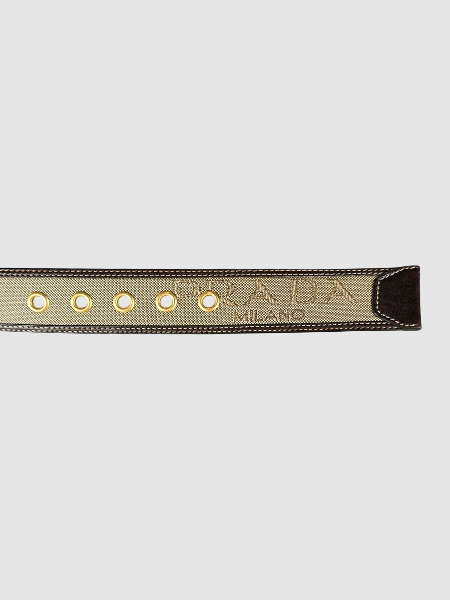 Logo Canvas Leather Trim Belt