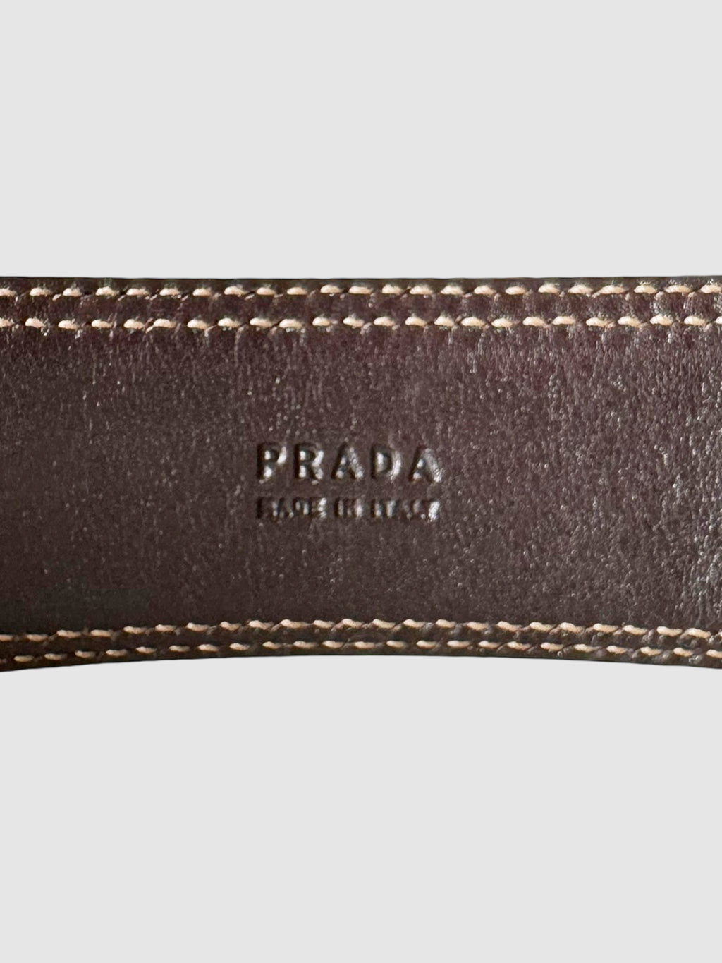 Logo Canvas Leather Trim Belt