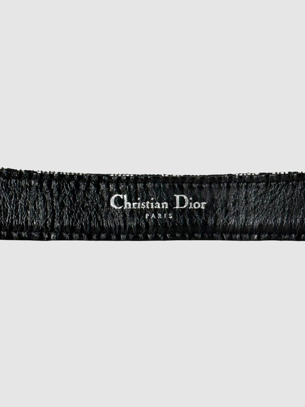 Monogram Trotter Belt