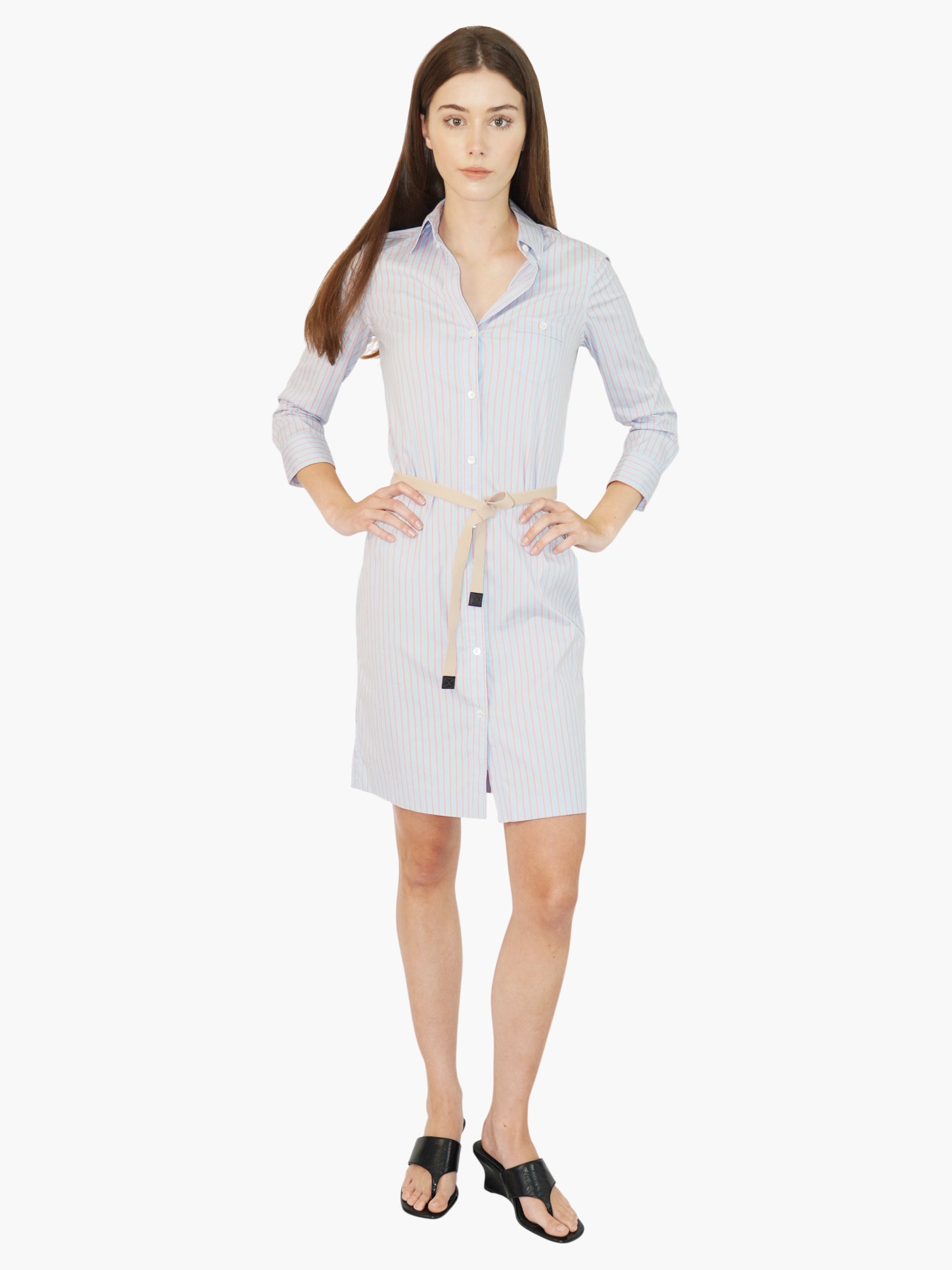 Pinstripe Belted Dress