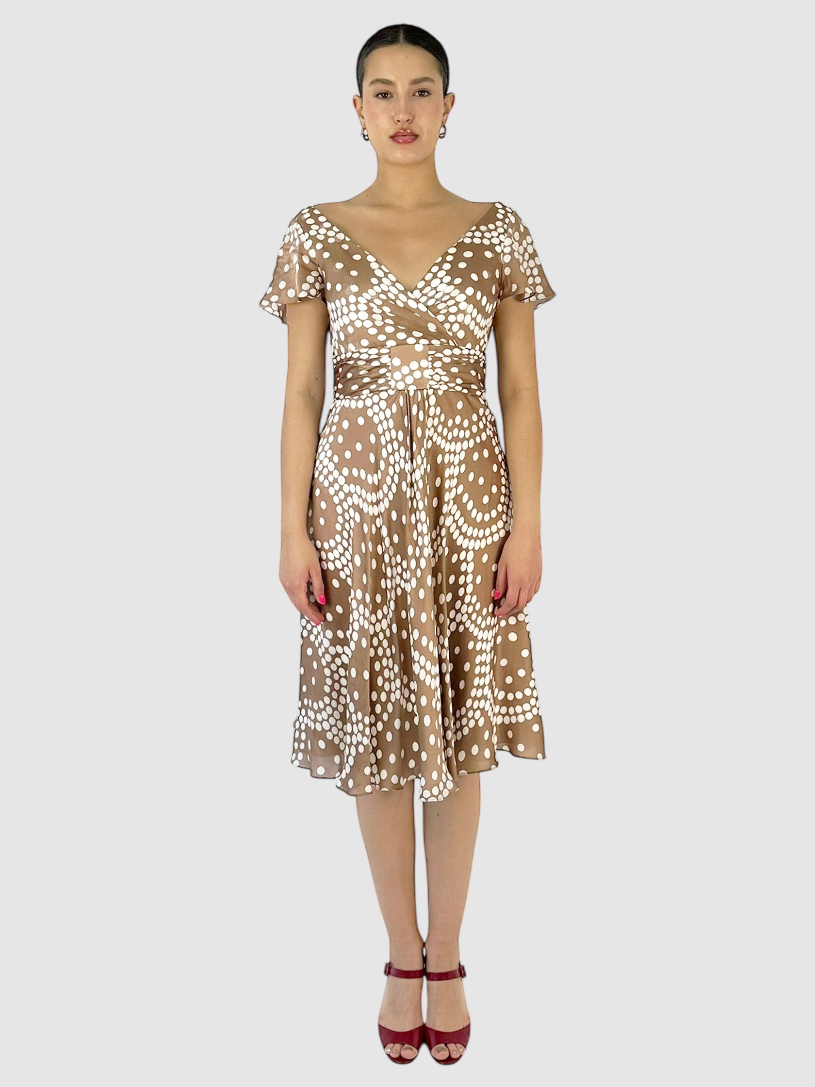 Silk Dotted Dress