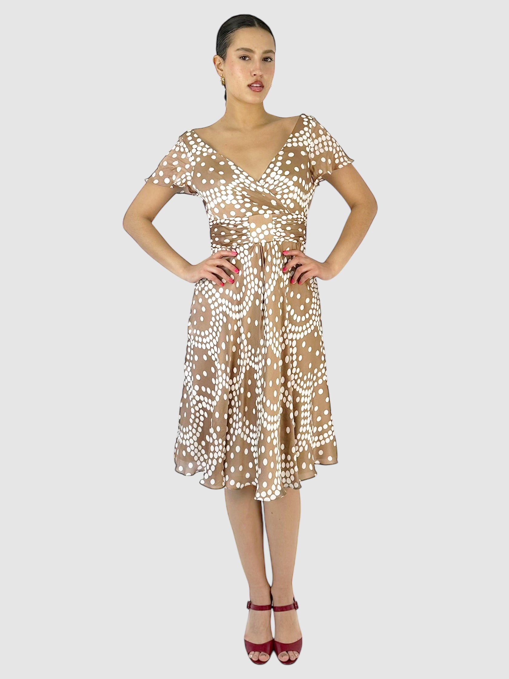 Silk Dotted Dress