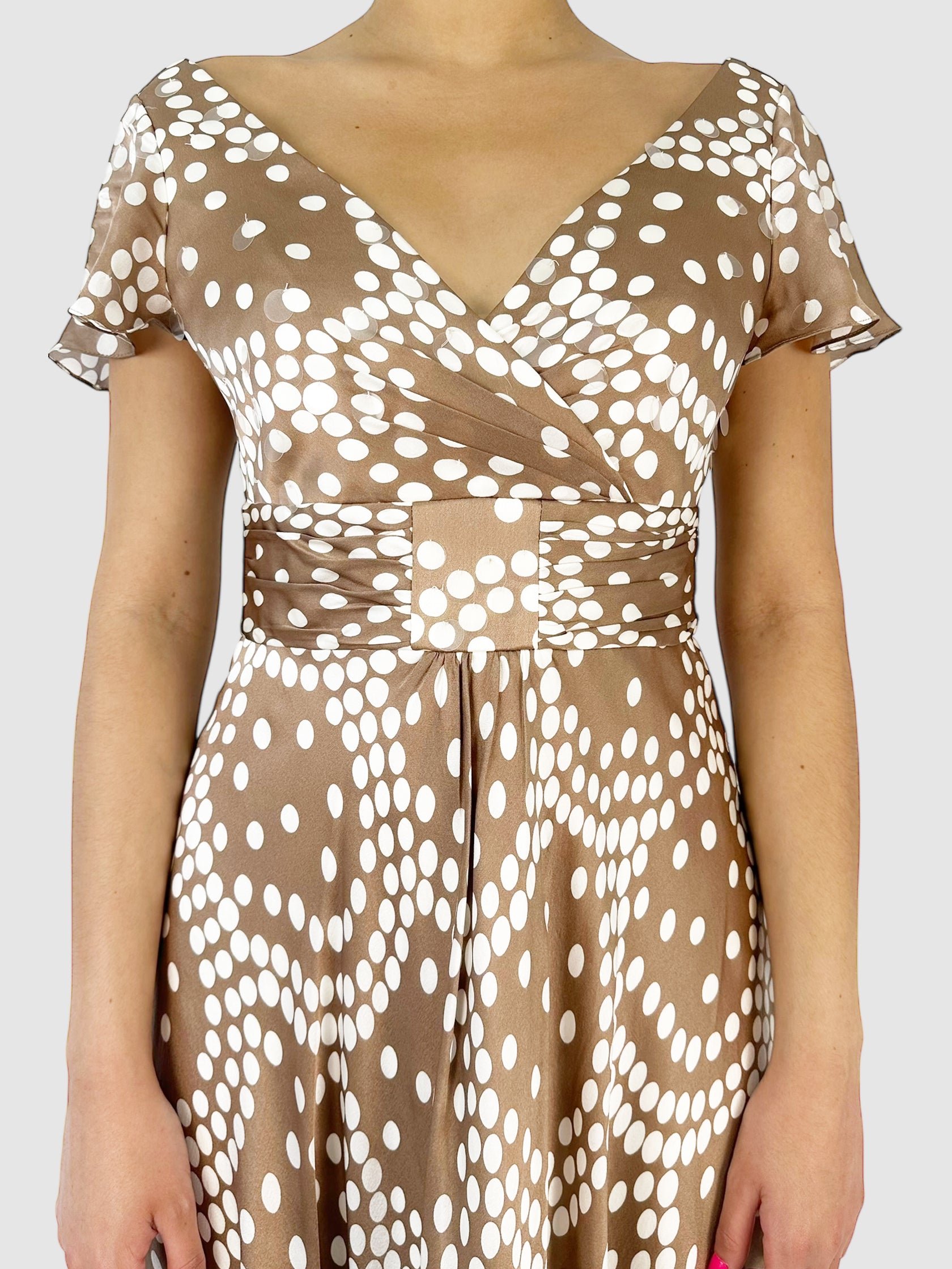 Silk Dotted Dress