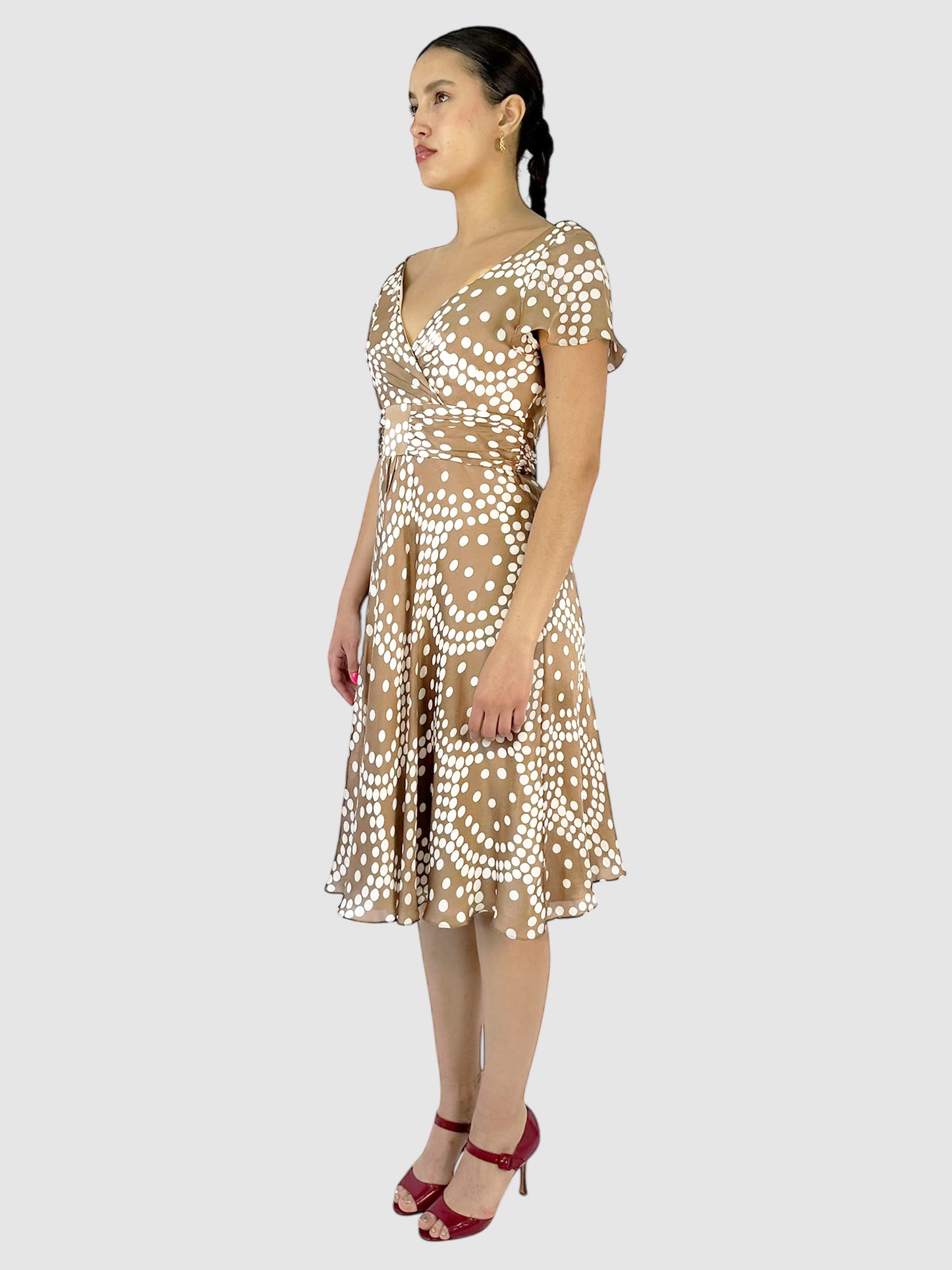 Silk Dotted Dress