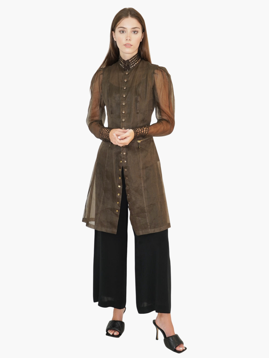Organdy Victorian Dress