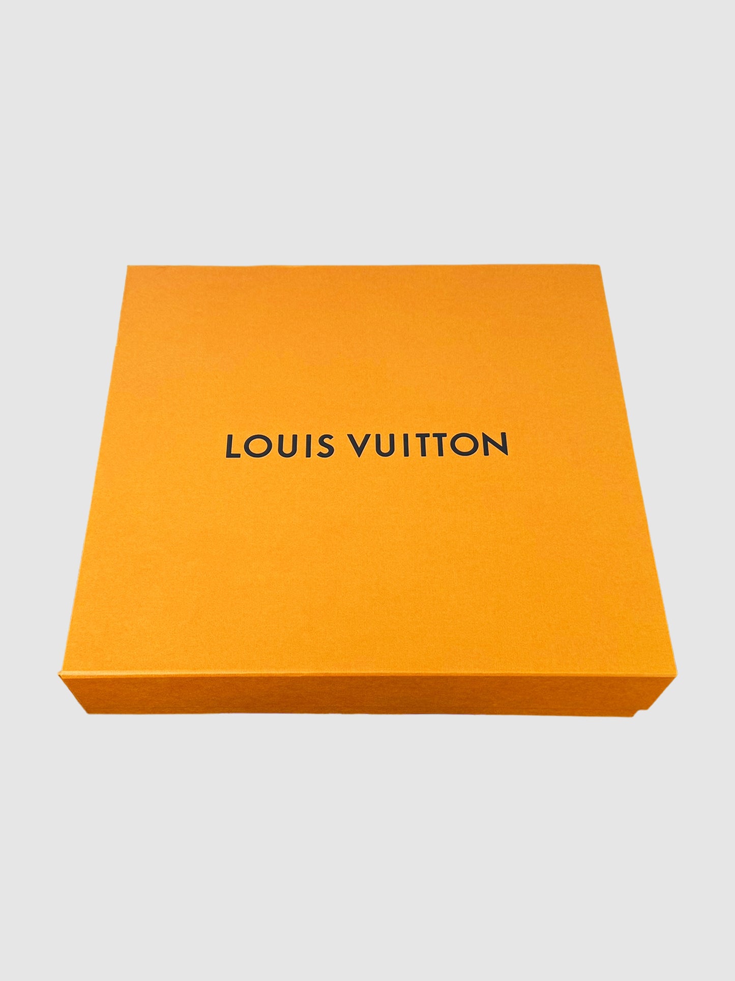 "Les Sacs De Ville Louis Vuitton" Book