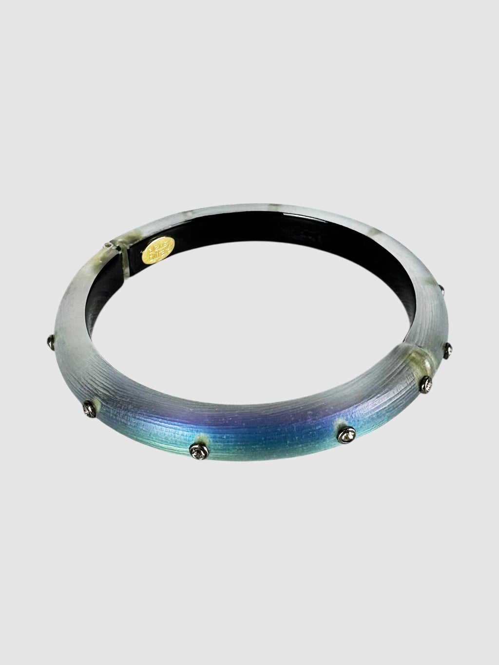 Chameleon Lucite Bangle