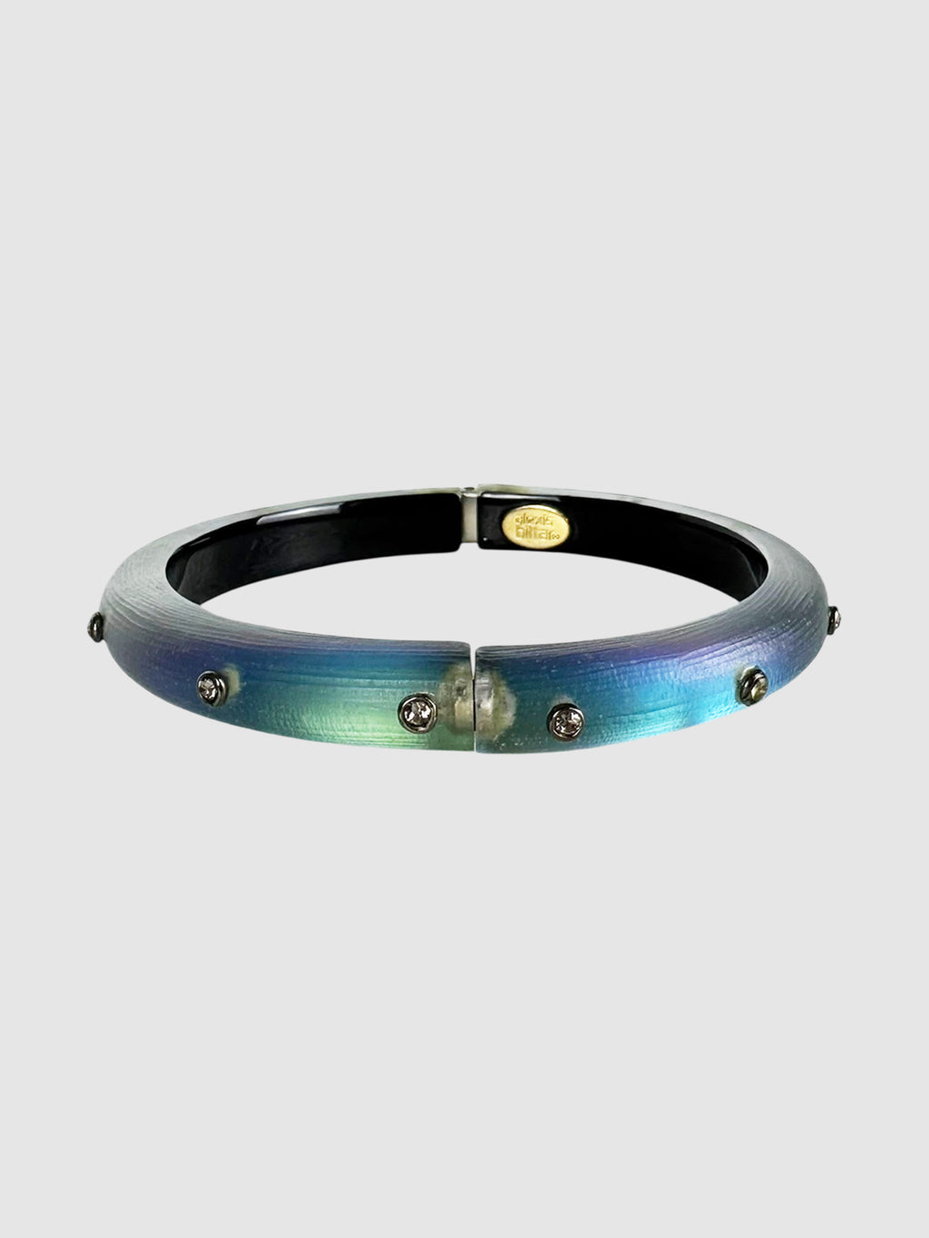 Chameleon Lucite Bangle