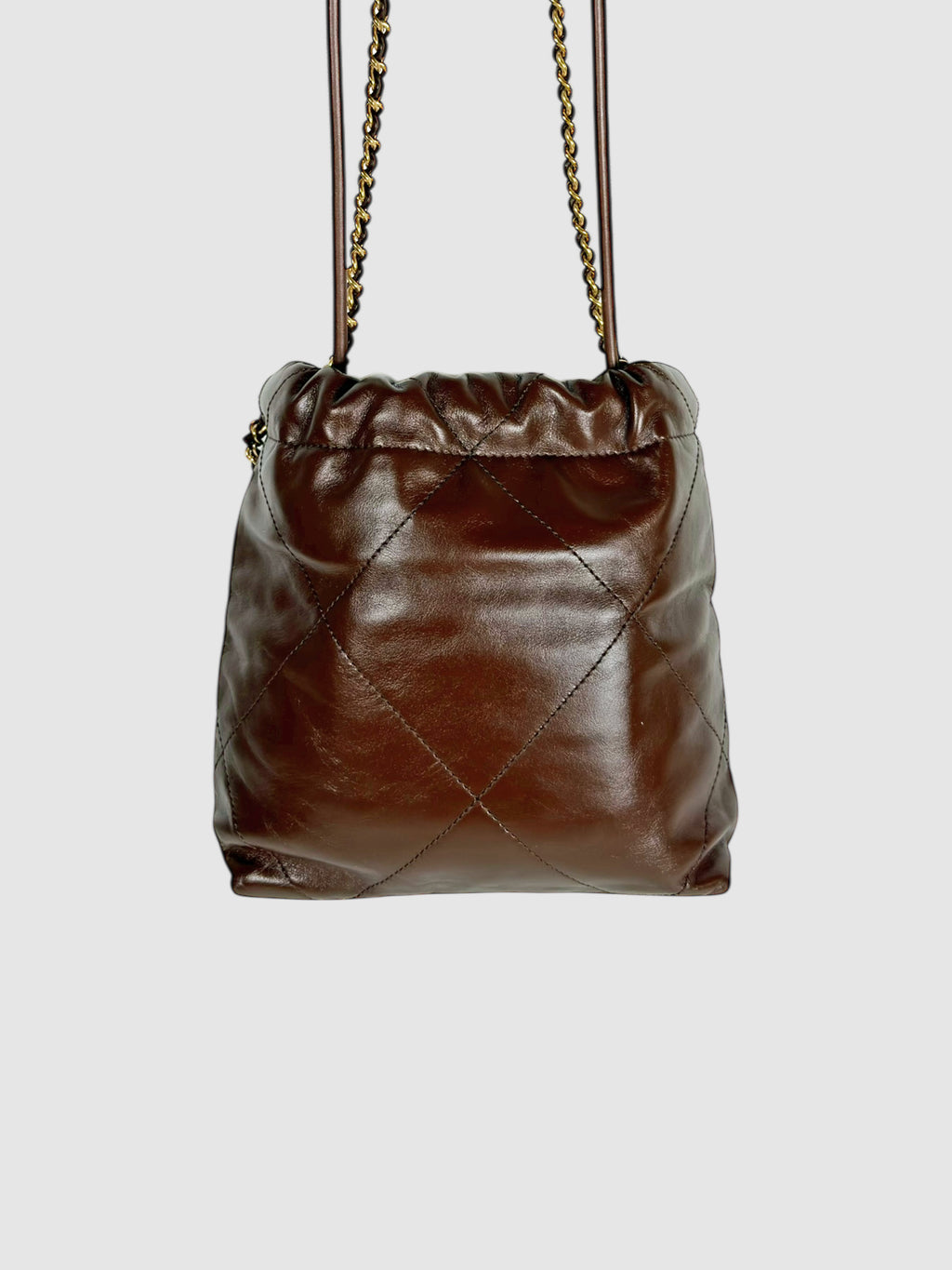 Mini Chanel 22 Bag