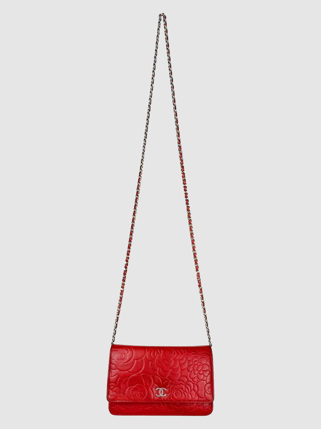 Camellia Wallet on Chain