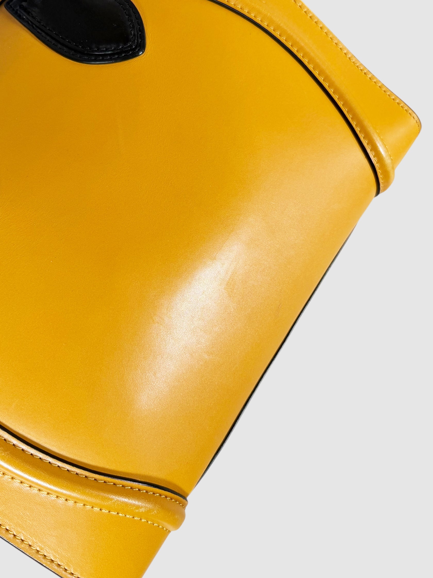 Mini Luggage Tote