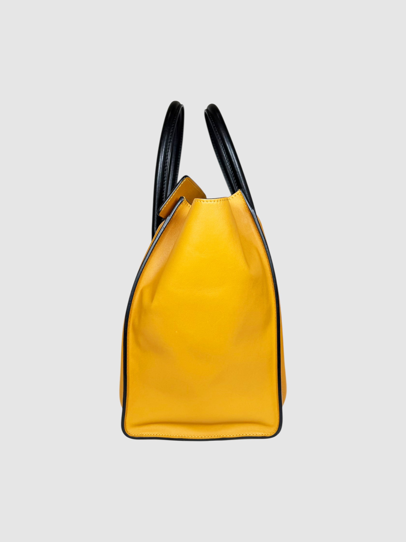 Mini Luggage Tote