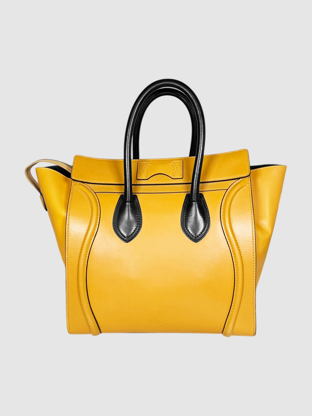 Mini Luggage Tote