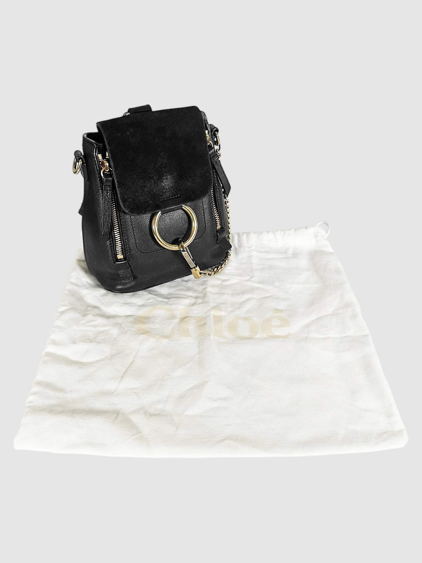 Mini Faye Backpack and Shoulder Bag