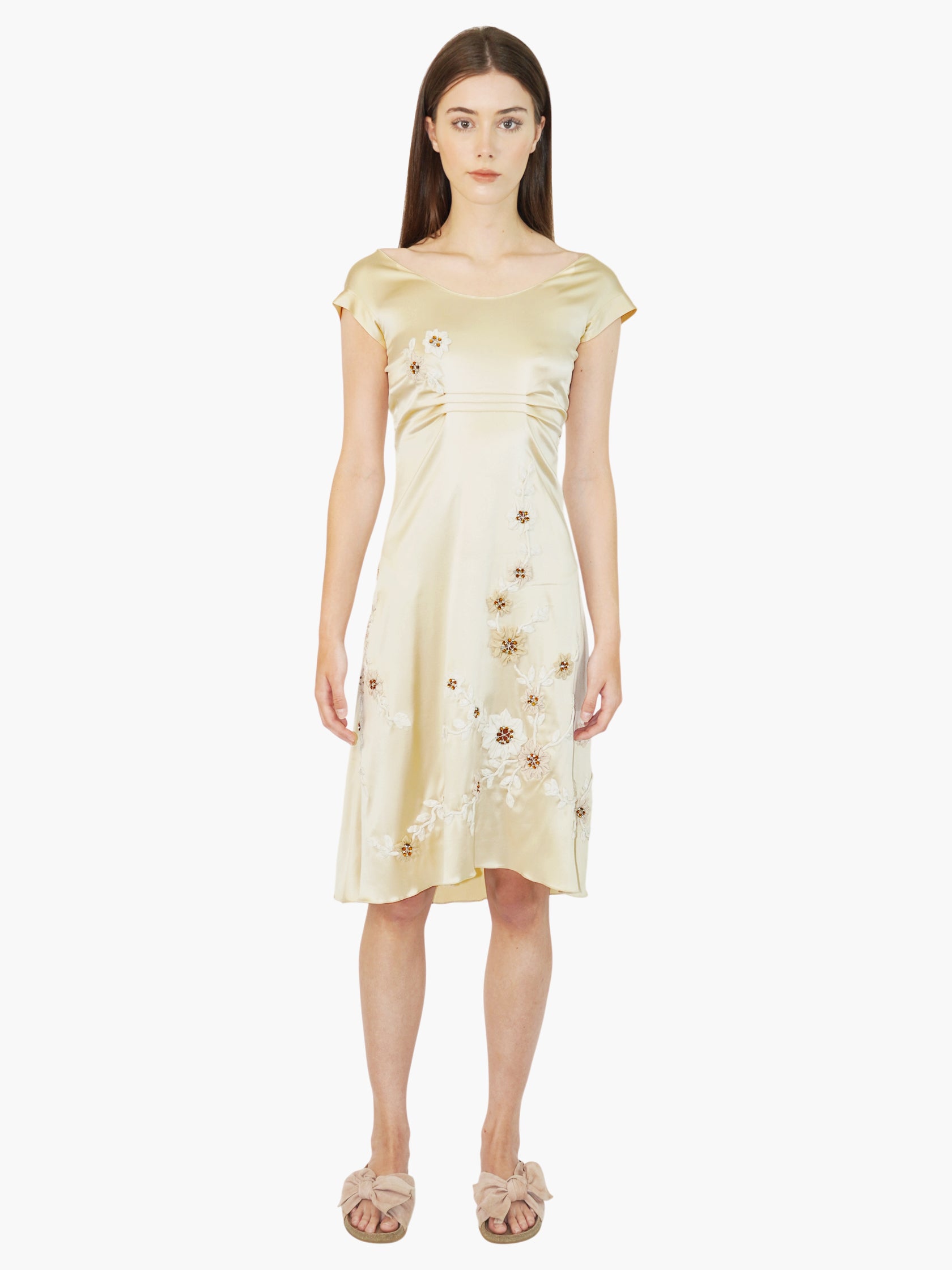 Silk Embroidered Dress