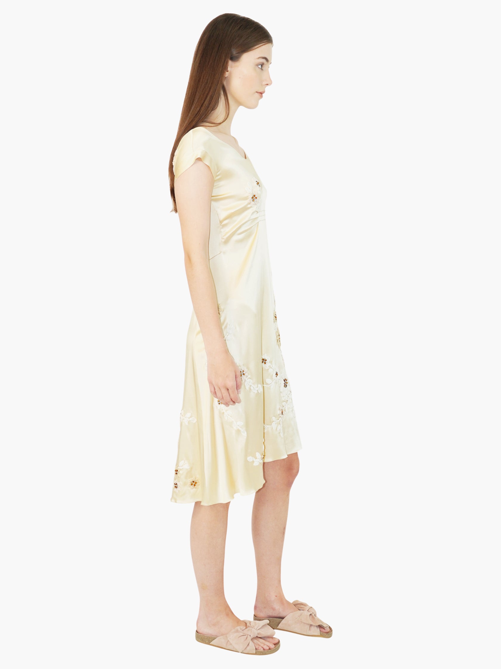 Silk Embroidered Dress