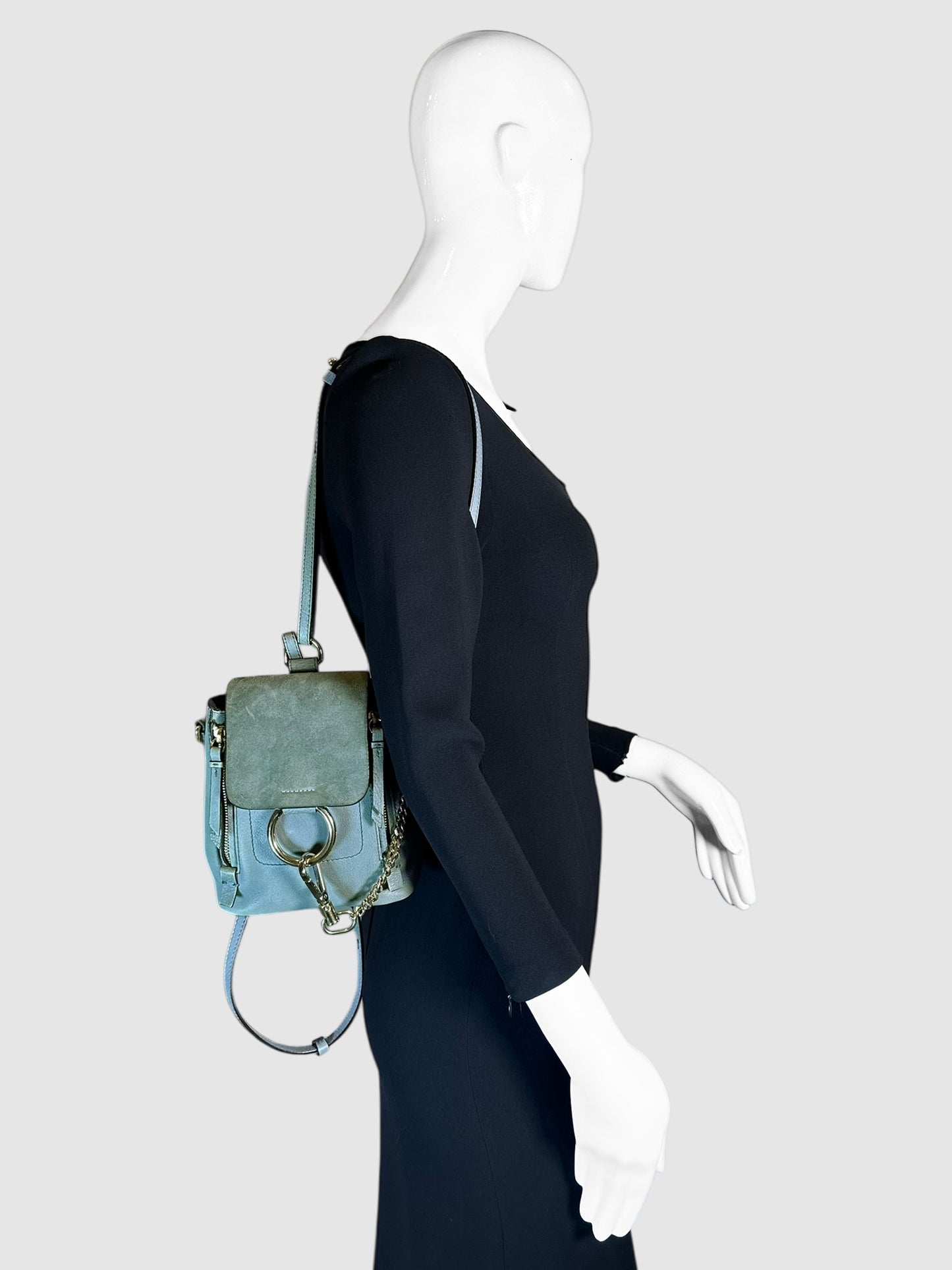 Mini Faye Backpack and Shoulder Bag