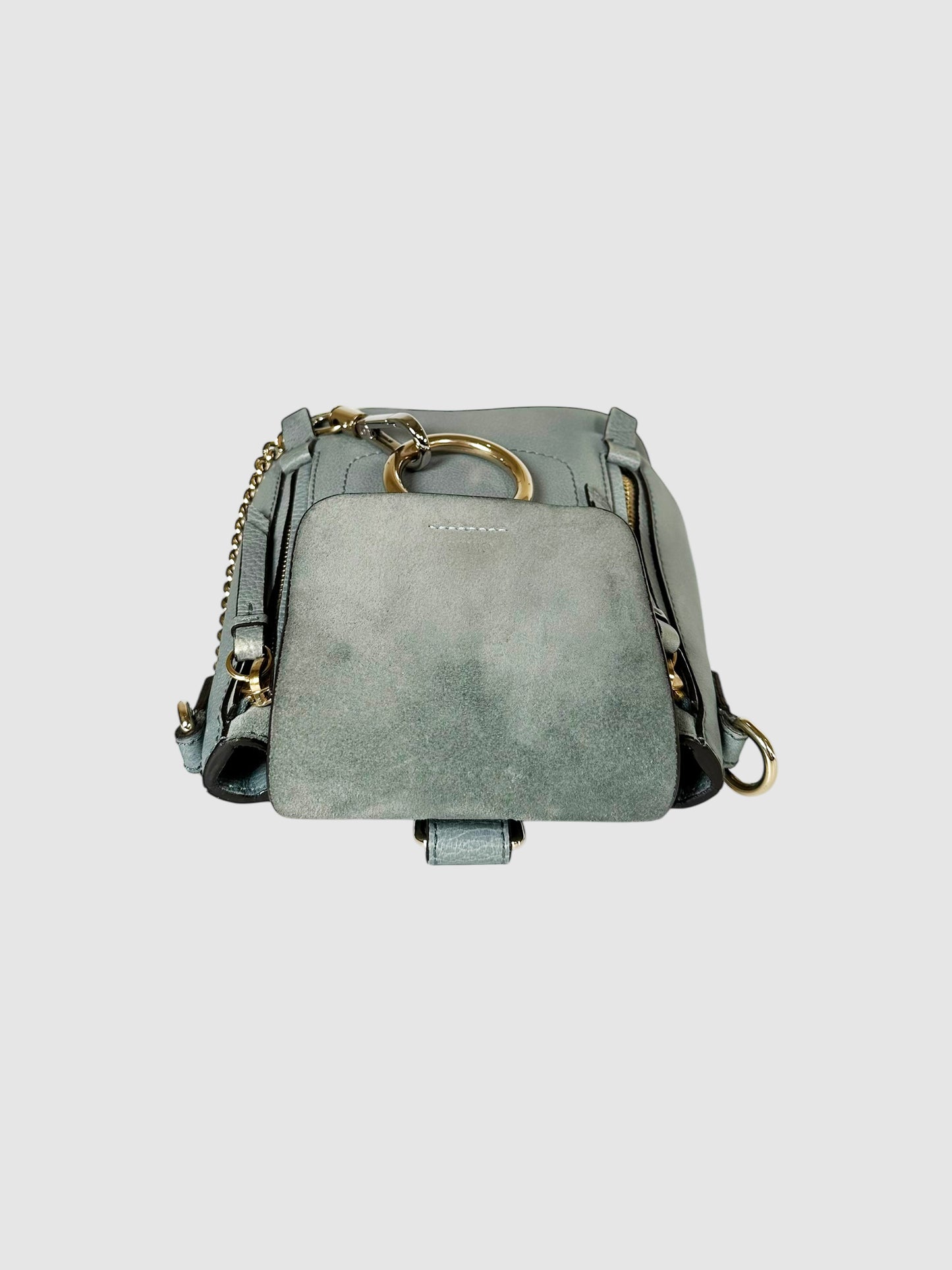 Mini Faye Backpack and Shoulder Bag