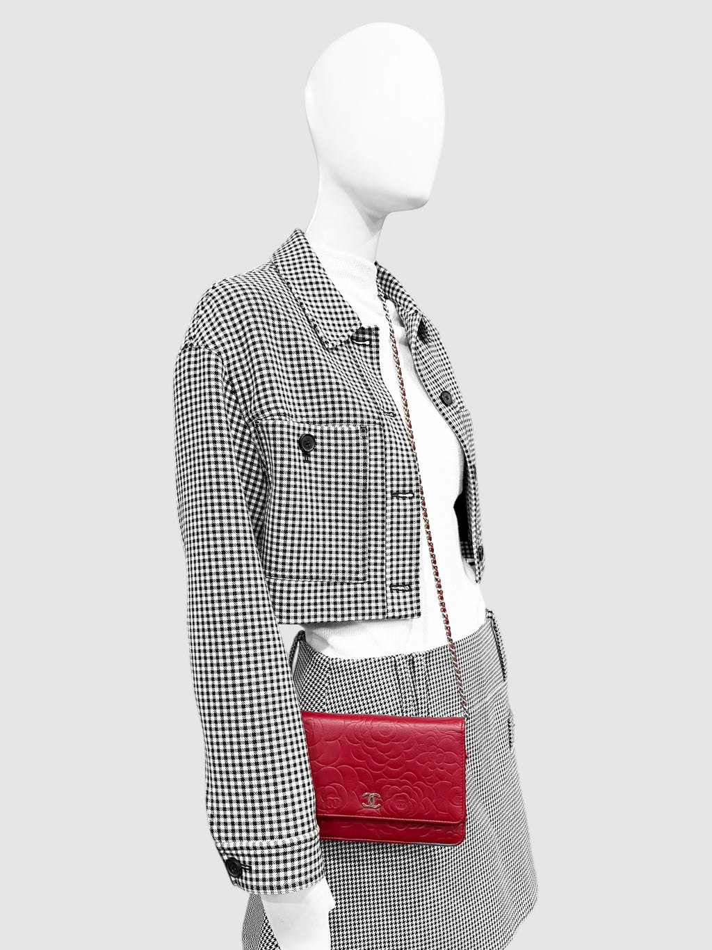 Camellia Wallet on Chain