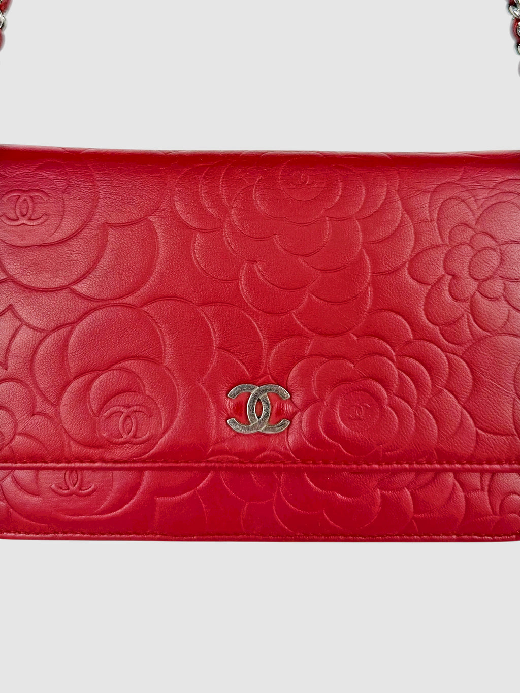 Camellia Wallet on Chain