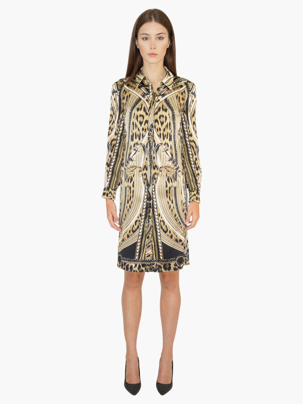 Silk Printed Dress