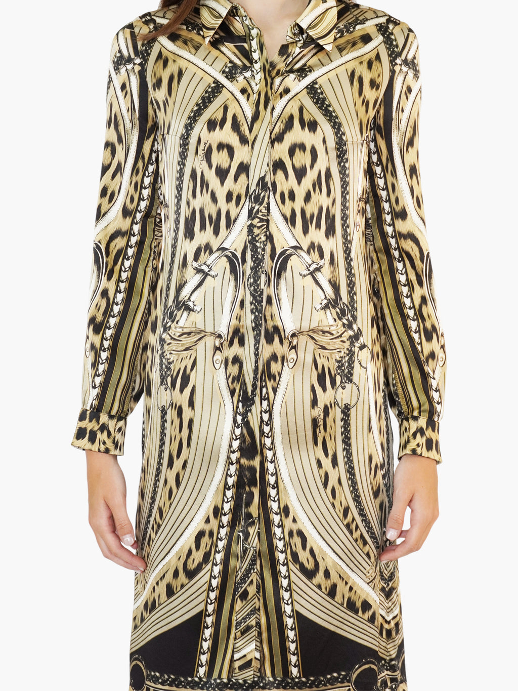 Silk Printed Dress