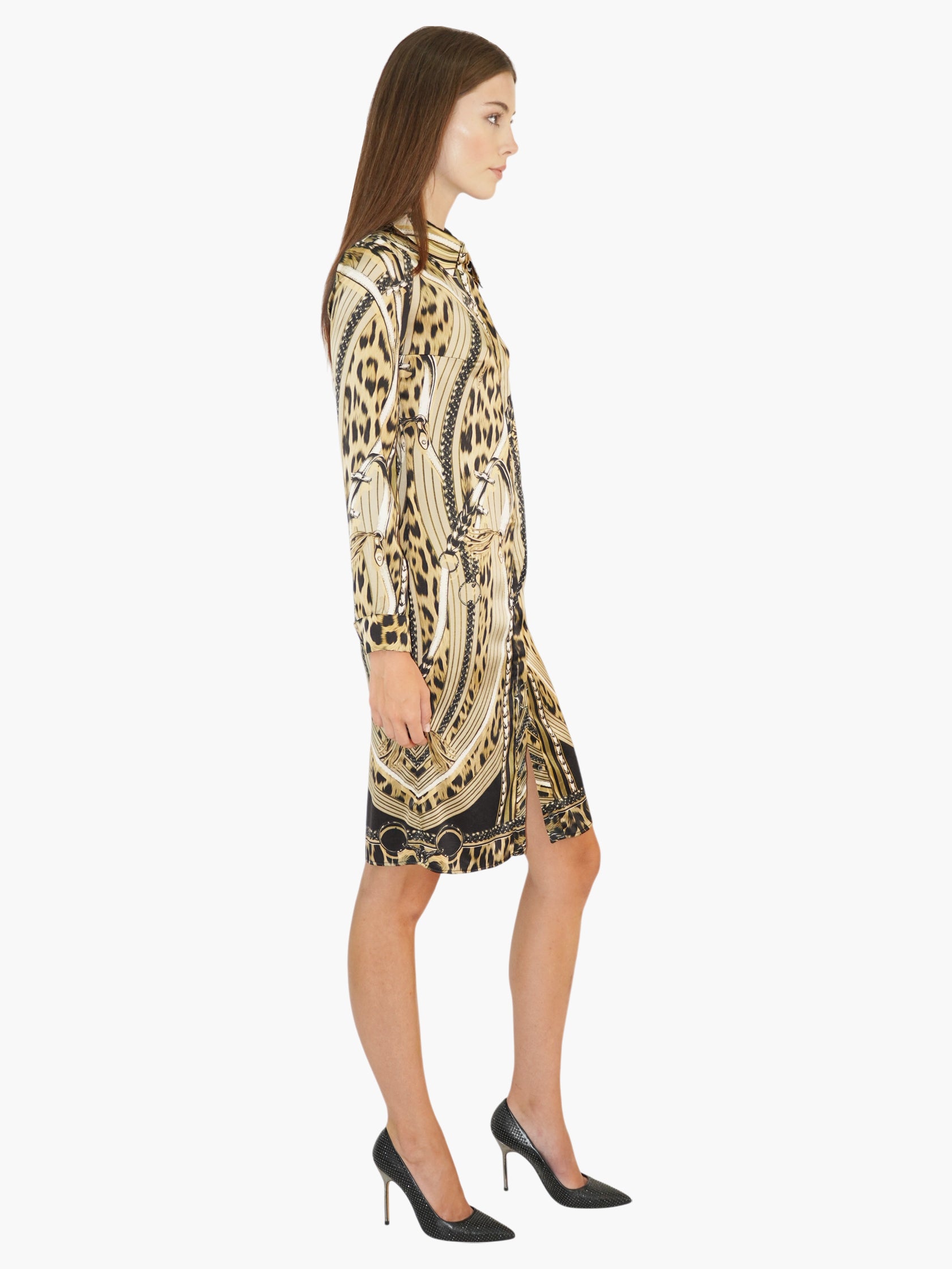 Silk Printed Dress