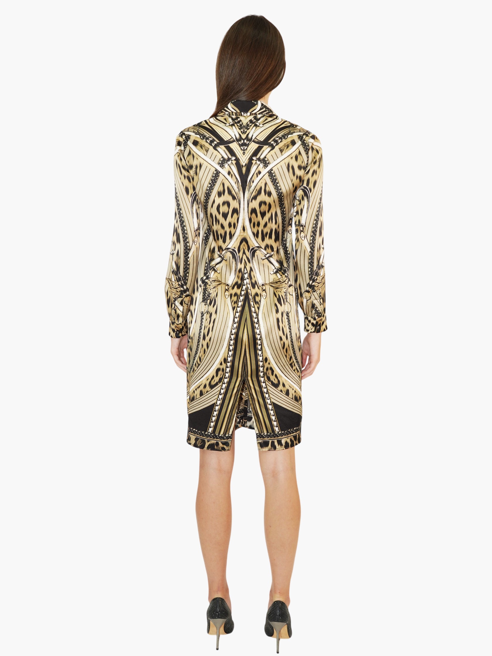 Silk Printed Dress