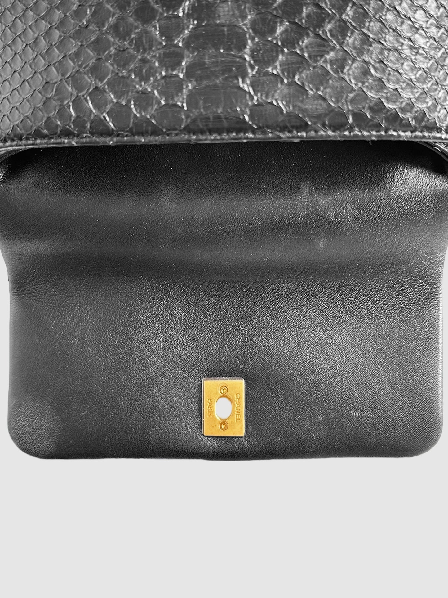 Python Coco Bag