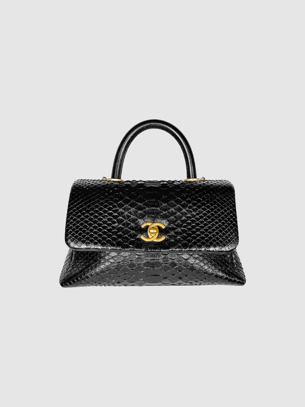 Python Coco Bag