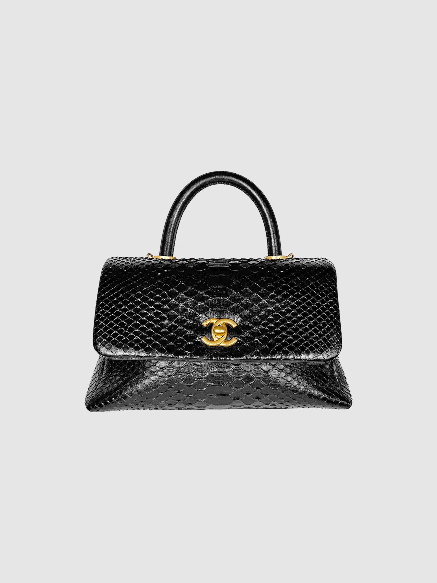 Python Coco Bag