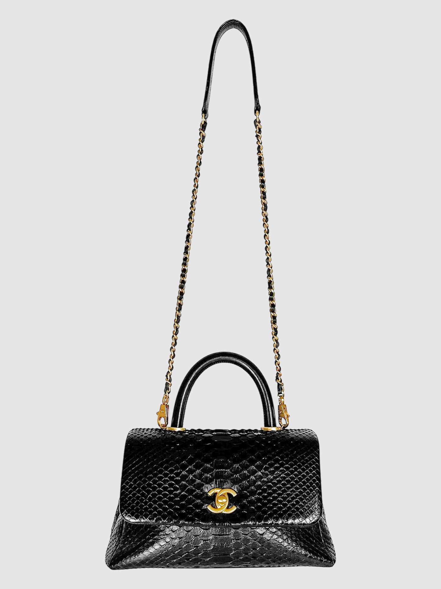 Python Coco Bag