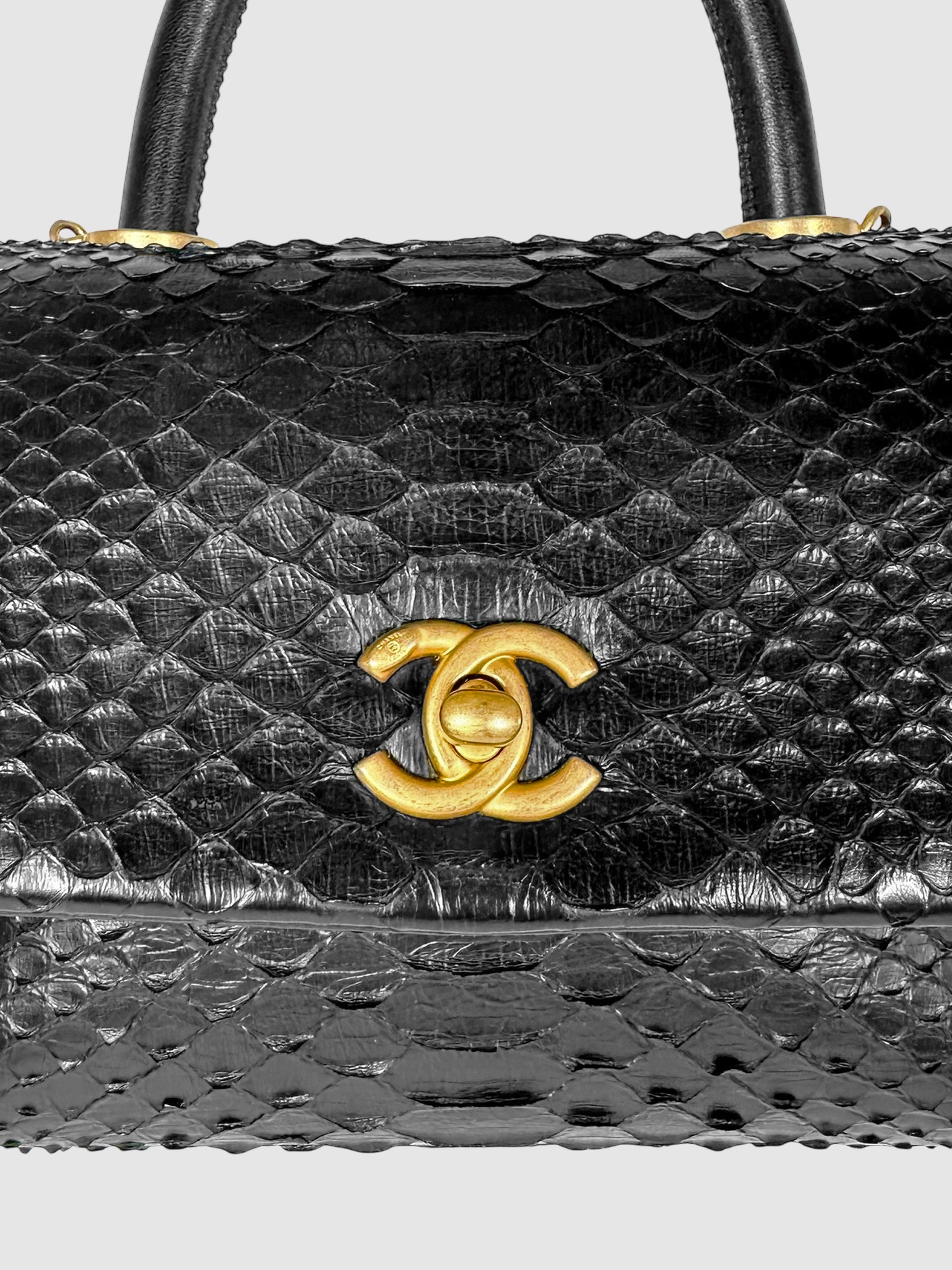 Python Coco Bag