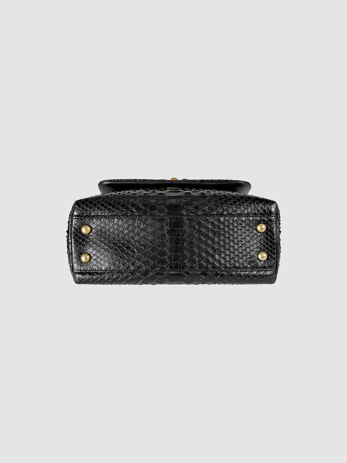 Python Coco Bag