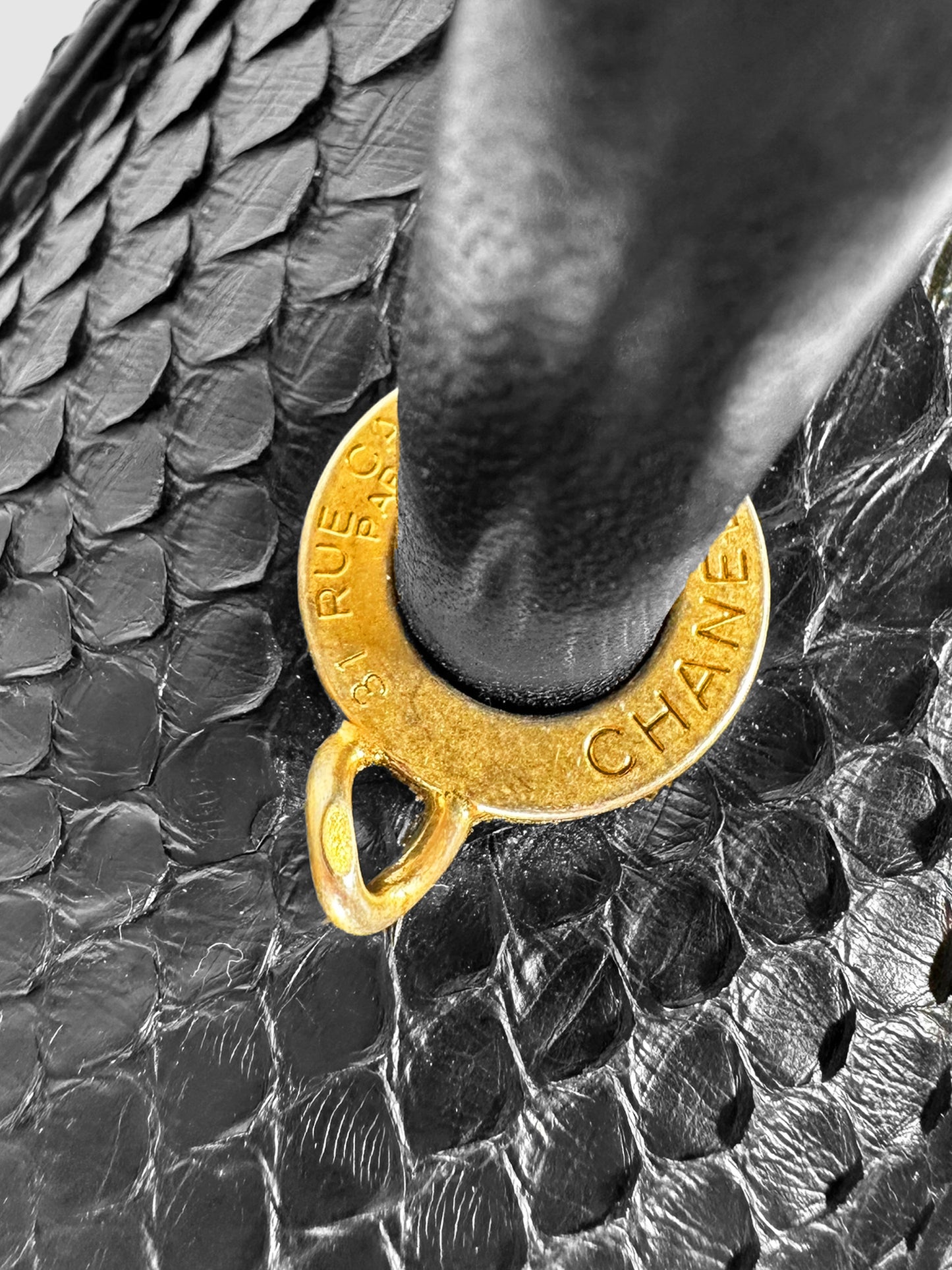 Python Coco Bag