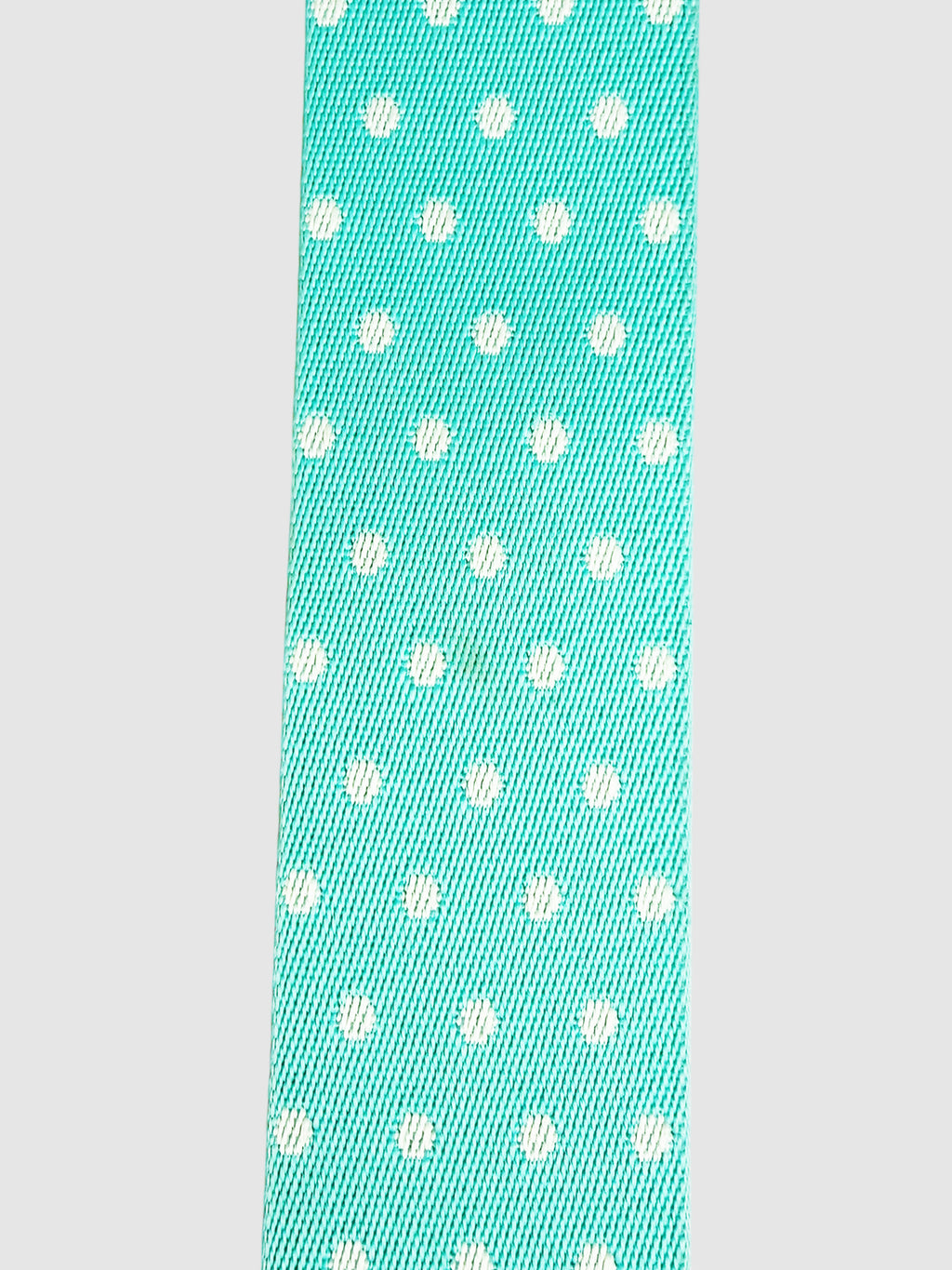 The Snapshot Camera Bag