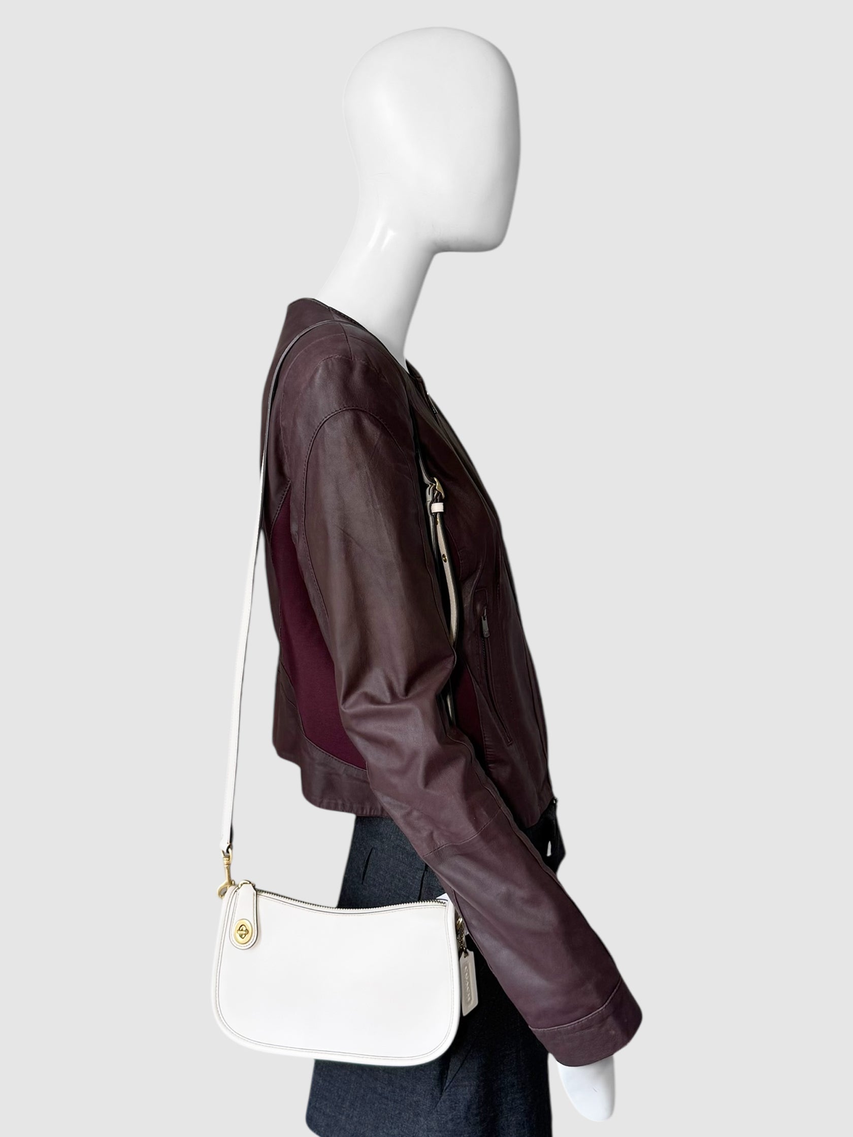 Swinger Shoulder Bag