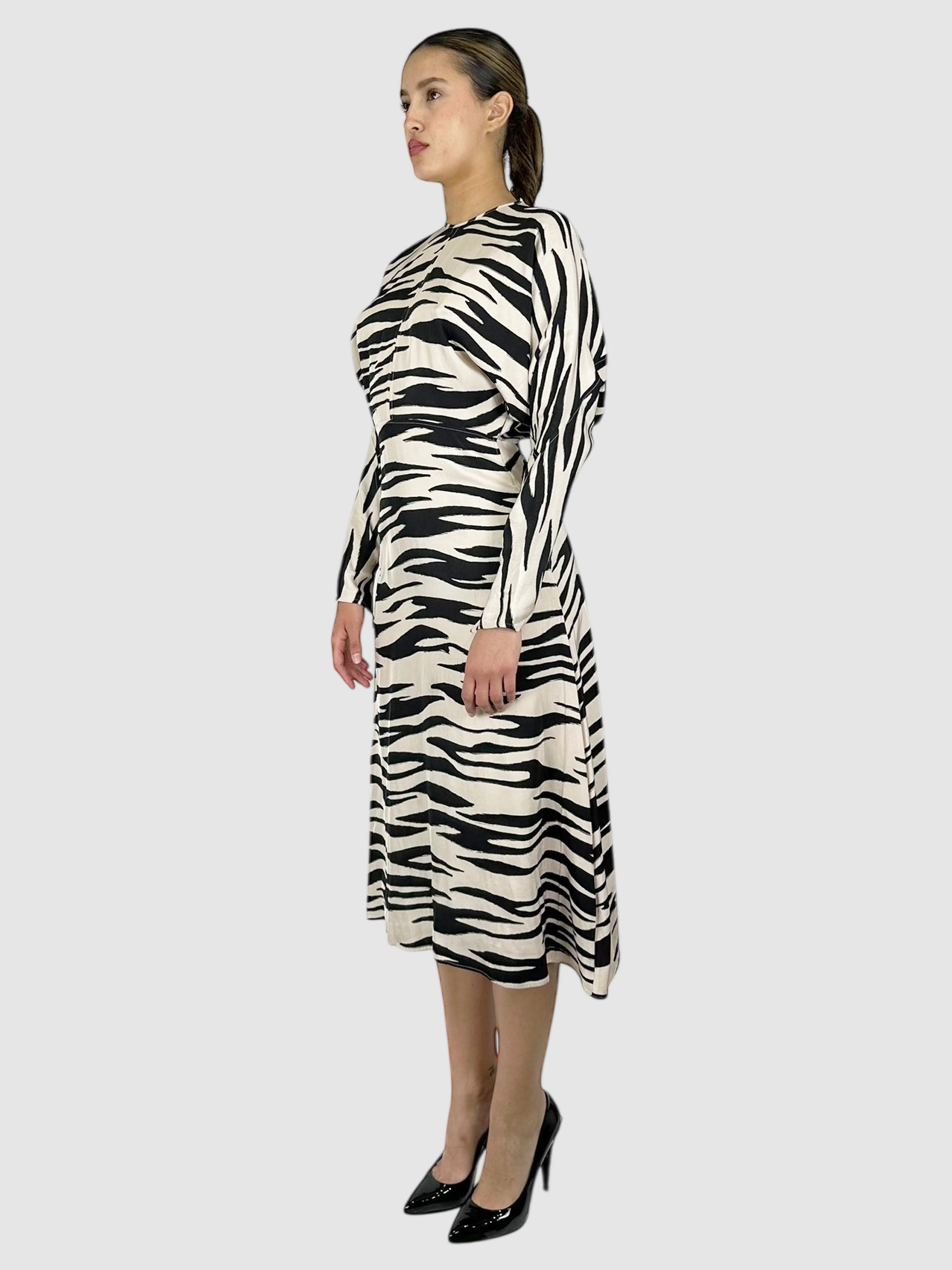 Zebra Print Dress