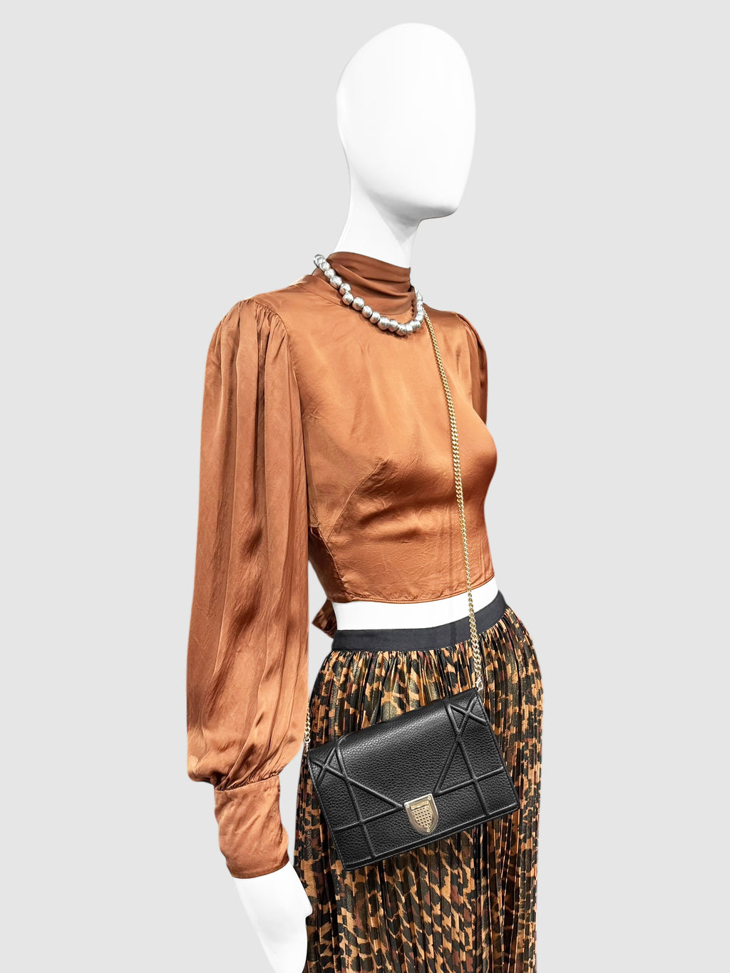 Diorama Wallet on Chain