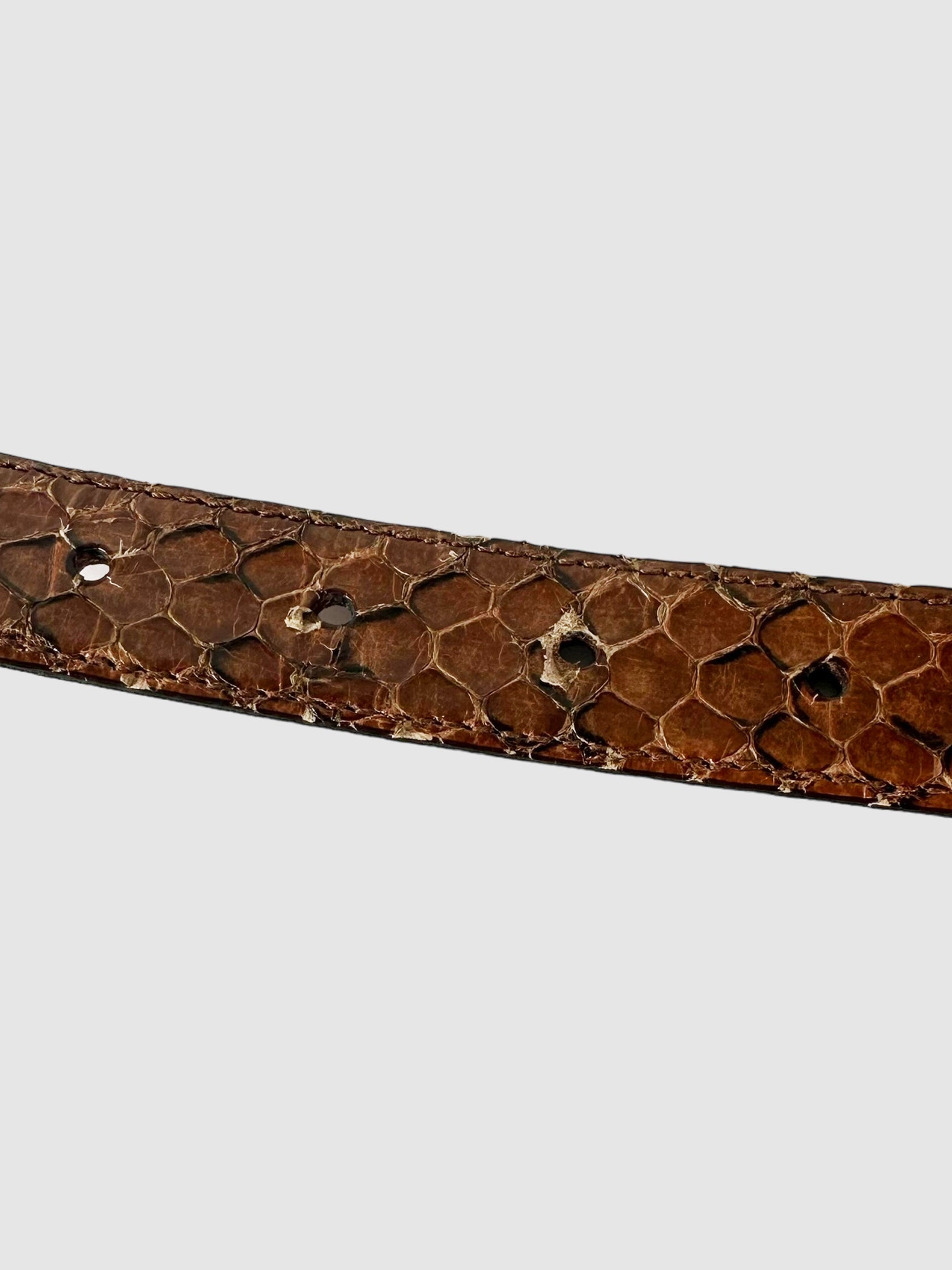 Snakeskin Belt