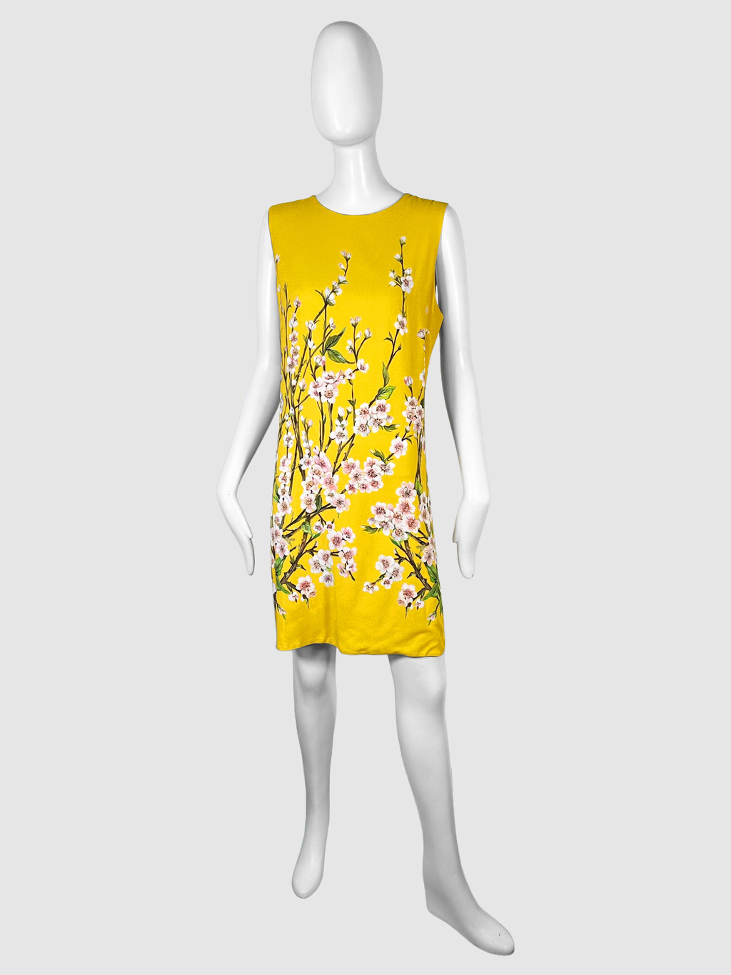 Sleeveless Blossom Print Mini Dress - Size 46