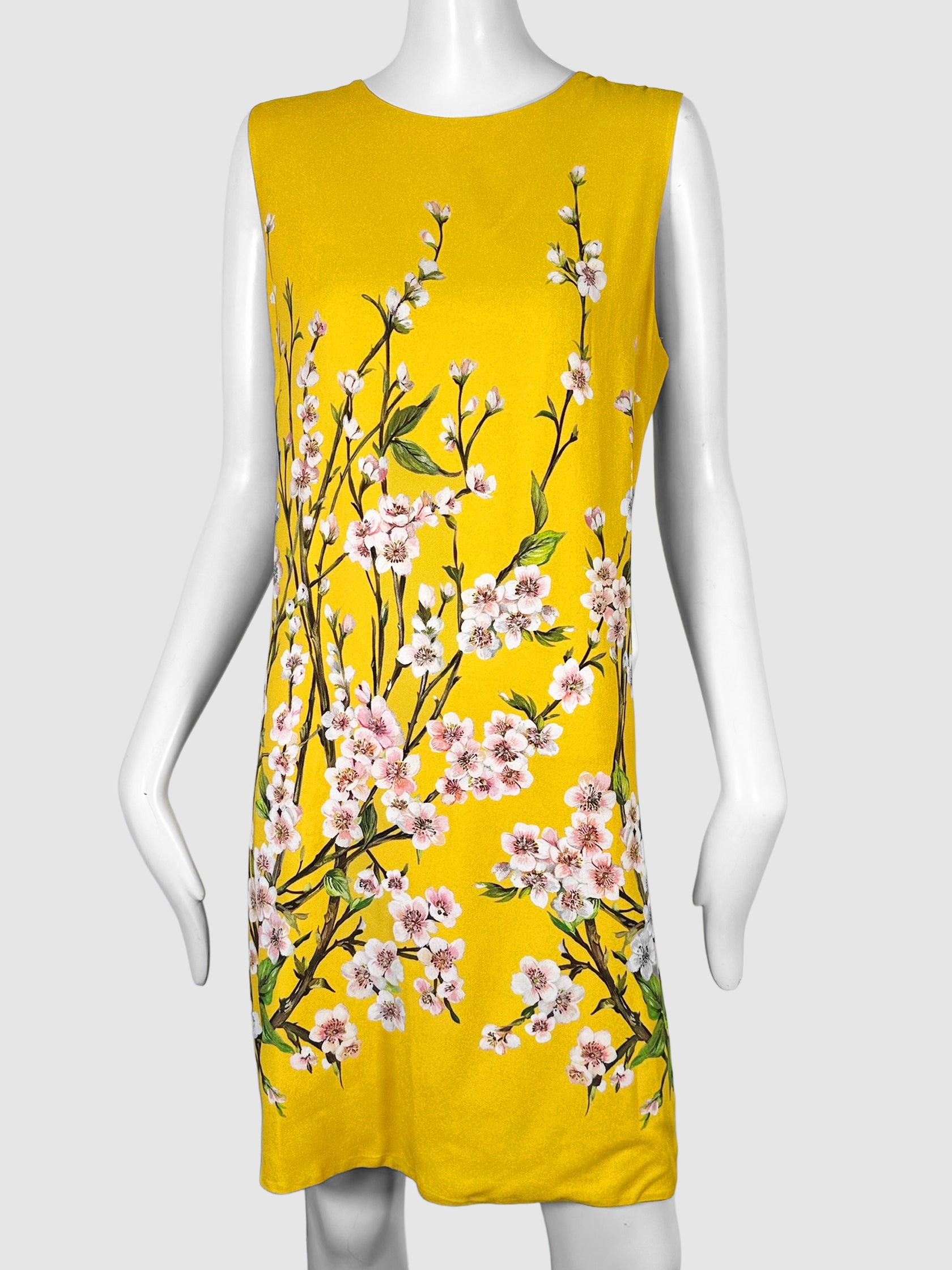 Sleeveless Blossom Print Mini Dress - Size 46