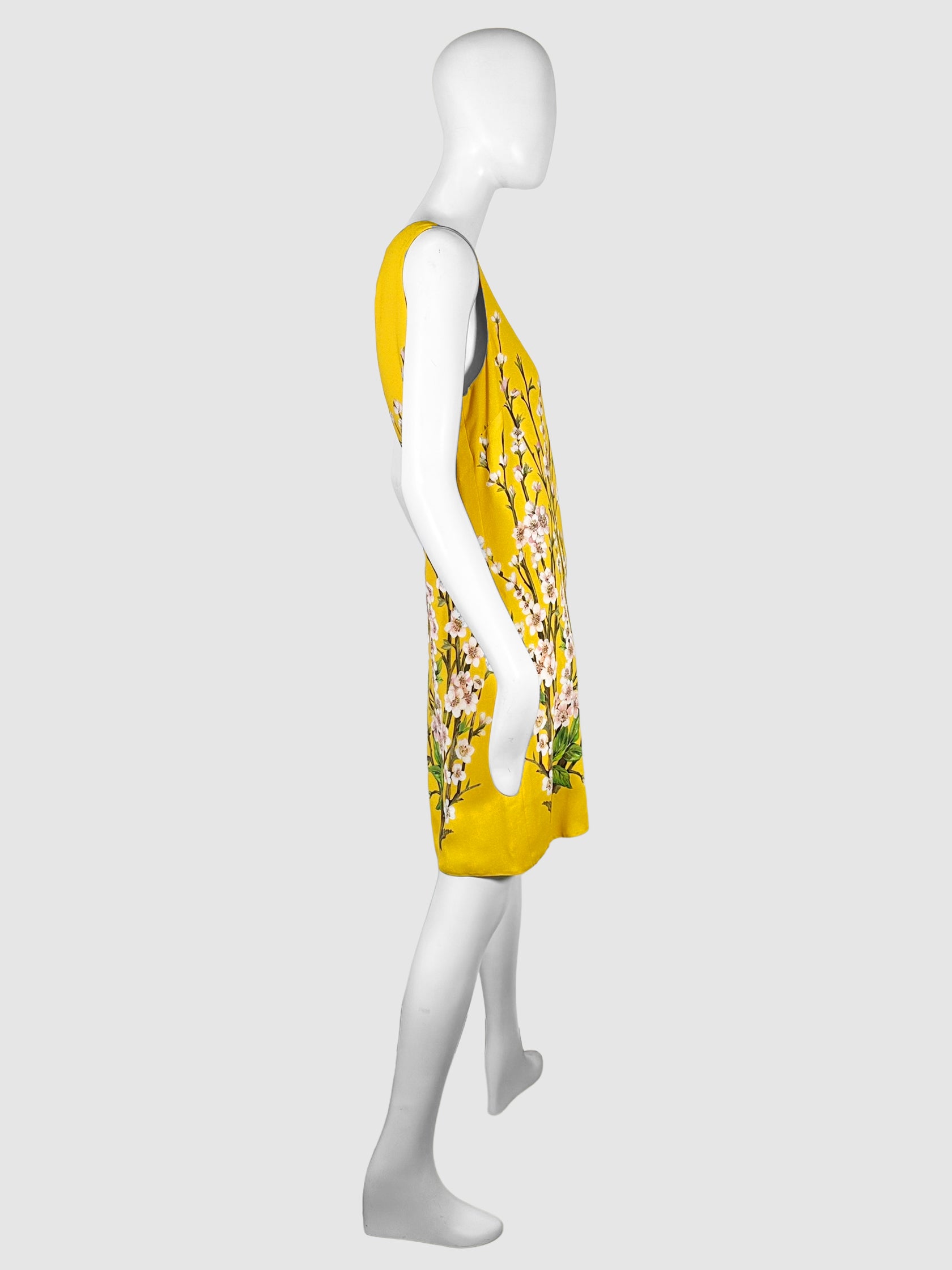 Sleeveless Blossom Print Mini Dress - Size 46