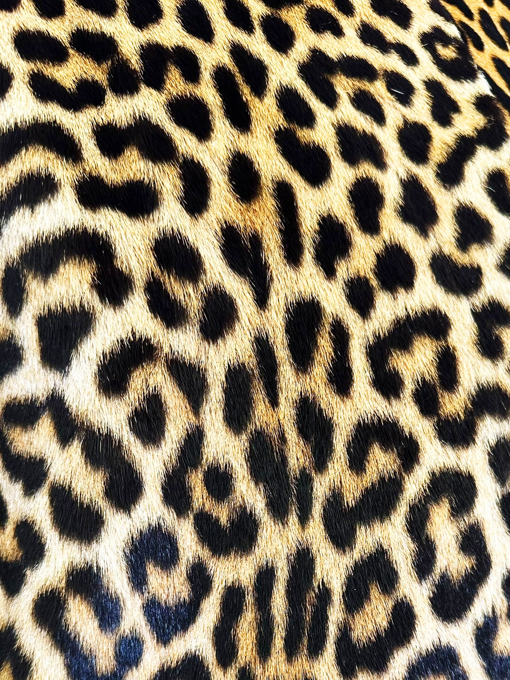 Leopard Mock Neck Coat - Size S