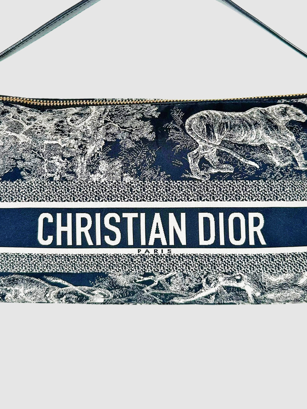 Medium Diortravel Nomad Pouch