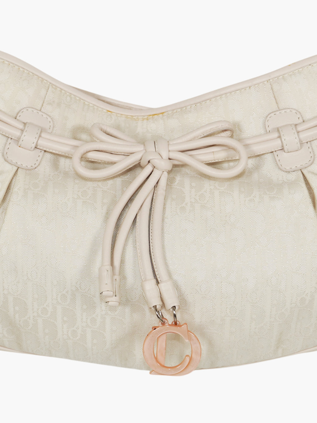 Oblique Diorissimo Bag